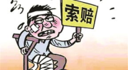 人身损害赔偿法,全面解读与实务应用
