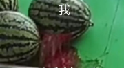网暴吃瓜圈,吃瓜圈背后的黑暗面